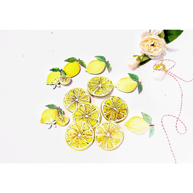 Handpainted Spring Decor, lemon slice - Lemon Collection 