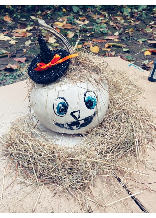 Set creativ decorat dovleci  de Halloween 