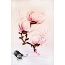 Tricouri pictate Sweet Magnolia 